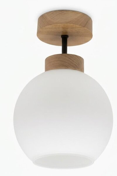 BRILAGI - LED prisadený luster RETRO GLASS 1xE27/60W/230V pr. 15 cm dub/biela