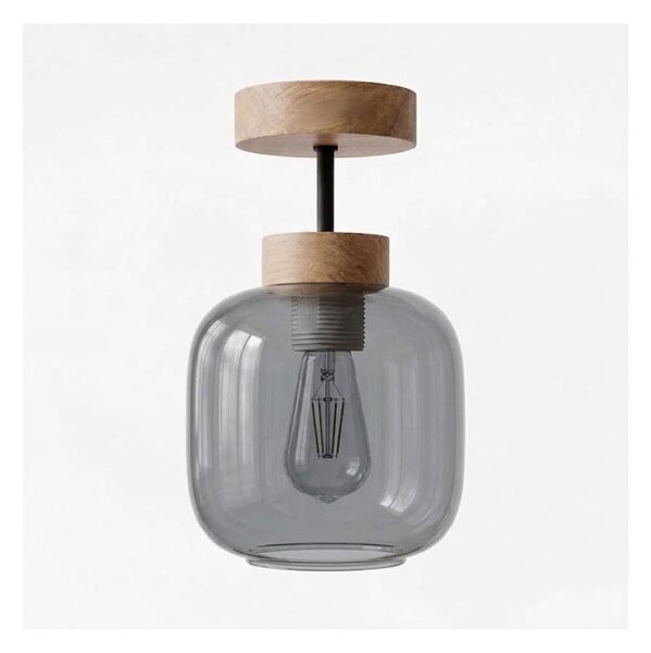 BRILAGI - LED prisadený luster R GLASS 1xE27/60W/230V pr. 14 cm dub/dymovo sivá