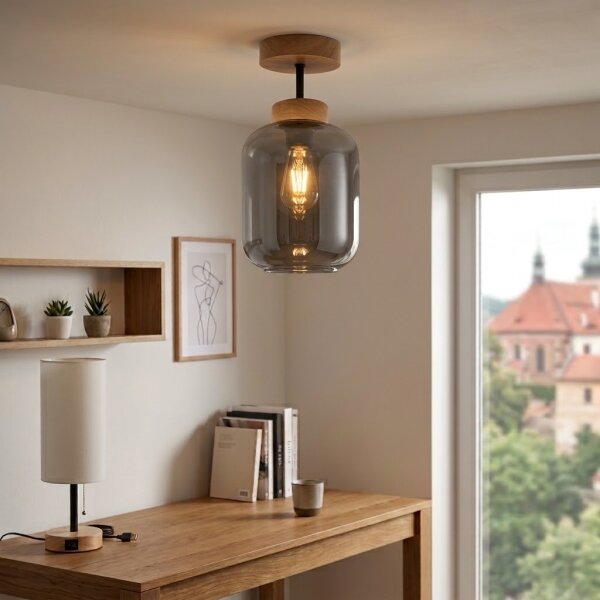 BRILAGI - LED prisadený luster R GLASS 1xE27/60W/230V pr. 14 cm dub/dymovošedá