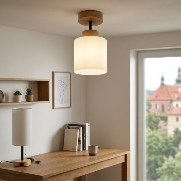 BRILAGI - LED Prisadený luster RETRO GLASS 1xE27/60W/230V pr. 10 cm dub/biela
