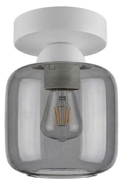 BRILAGI - LED stropné svietidlo R GLASS 1xE27/60W/230V priemer 14 cm biela/dymovo-sivá