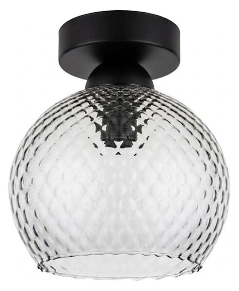 BRILAGI - LED stropné svietidlo R GLASS 1xE27/60W/230V pr. 18 cm čierna/dymová sivá