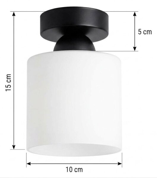BRILAGI - LED Stropné svietidlo RETRO GLASS 1xE27/60W/230V pr. 10 cm čierna/biela