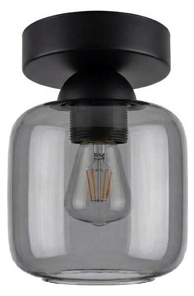 BRILAGI - LED stropné svietidlo R GLASS 1xE27/60W/230V pr. 14 cm čierna/dymovo sivá
