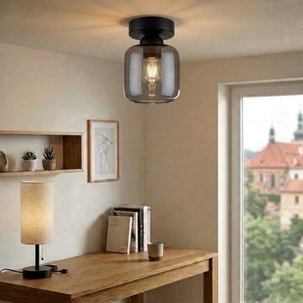 BRILAGI - LED stropné svietidlo R GLASS 1xE27/60W/230V pr. 14 cm čierna/dymovo sivá