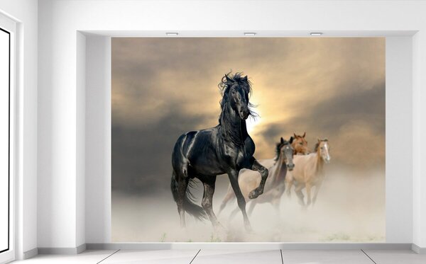 Fototapeta Nádherný čierny kôň Materiál: Samolepiaca, Rozmery: 200 x 150 cm