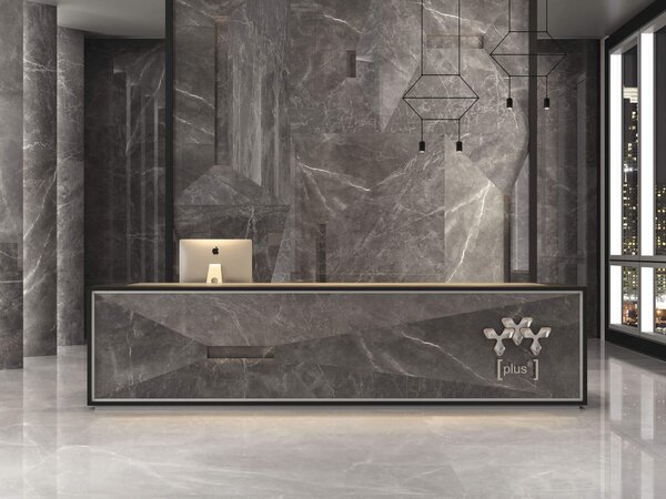 Bayona Silver Pulido 120x240