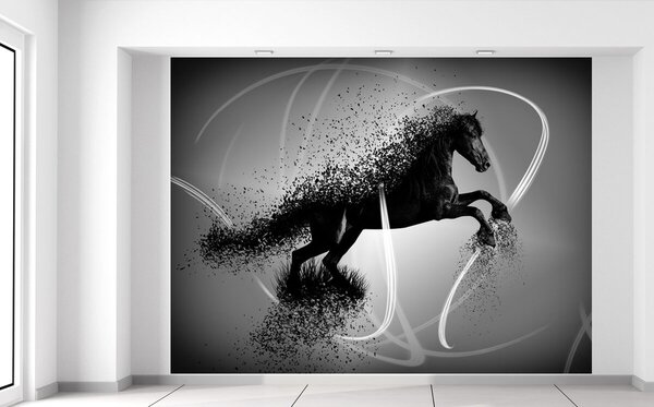 Fototapeta Čiernobiely kôň - Jakub Banas Materiál: Samolepiaca, Rozmery: 200 x 150 cm