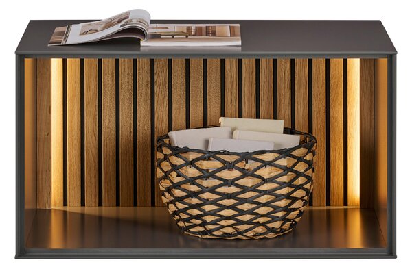 REGÁLOVÝ DIEL, dub, antracitová, farba duba, 80/44/50 cm Dieter Knoll - TV nábytok