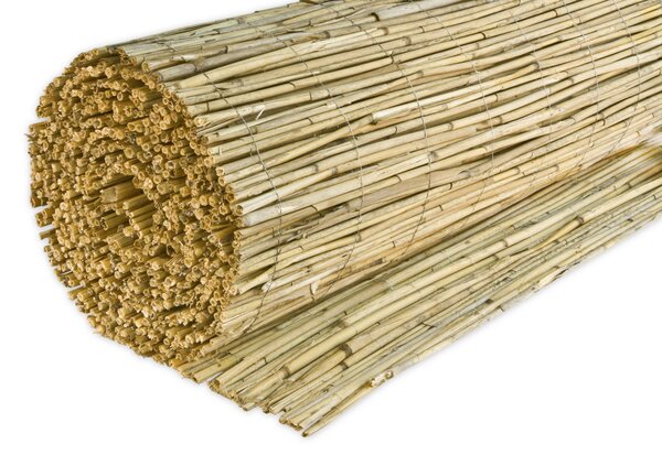 TIENIACA CLONA NA PLOT 600/120 cm - Online Only záhrada, Online Only