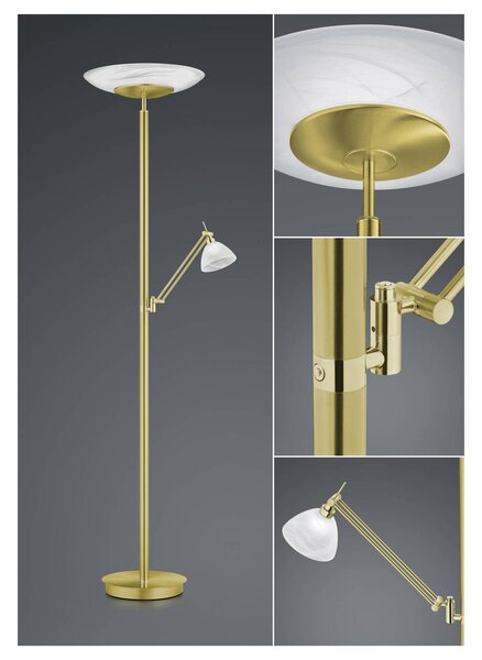 LED stojacia lampa Findus, 2 svetlá, mosadz, Mosadz / zlato, Obývacia izba / jedáleň, kov, Moderný, Zemné bodové svetlo
