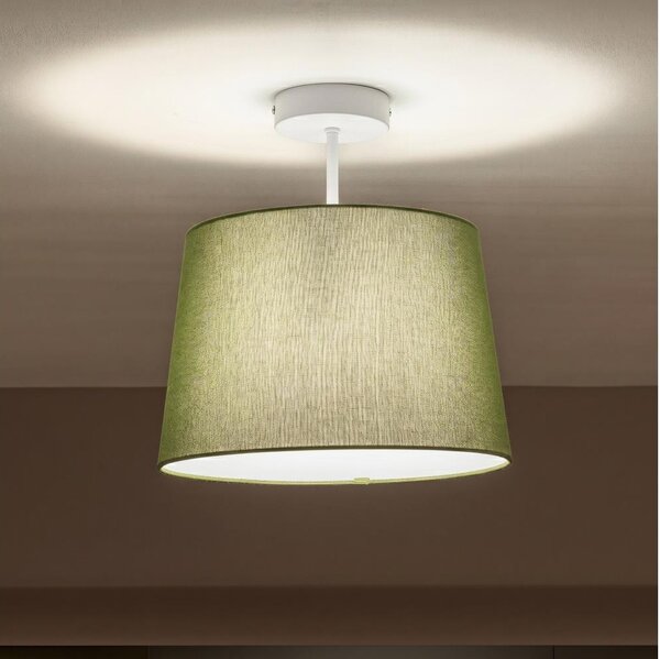 Brilagi - LED prisadený luster CERIA 1xE27/60W/230V pr. 30 cm biela/zelená