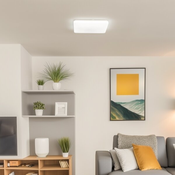 Brilagi - LED Stmievateľné stropné svietidlo OPAL LED/24W/230V 3000/4000/6500K+DO
