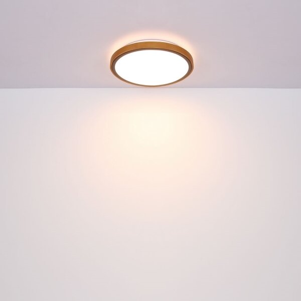 Globo 41764-12 - LED Stropné svietidlo BRUNO LED/12W/230V 307 mm 3000/4500/6000K