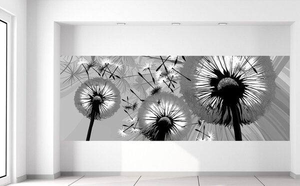 Gario Fototapeta Čiernobiele púpavy Veľkosť: 268 x 100 cm, Materiál: Latexová