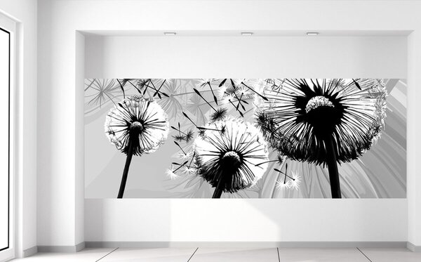 Fototapeta Krásne čiernobiele púpavy Materiál: Samolepiaca, Rozmery: 268 x 100 cm