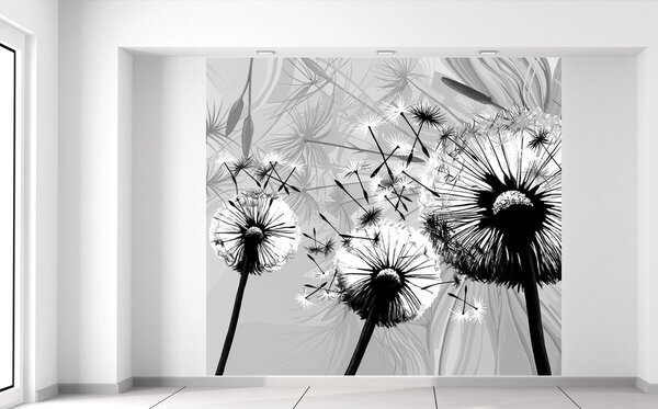Fototapeta Krásne čiernobiele púpavy Materiál: Samolepiaca, Rozmery: 268 x 240 cm