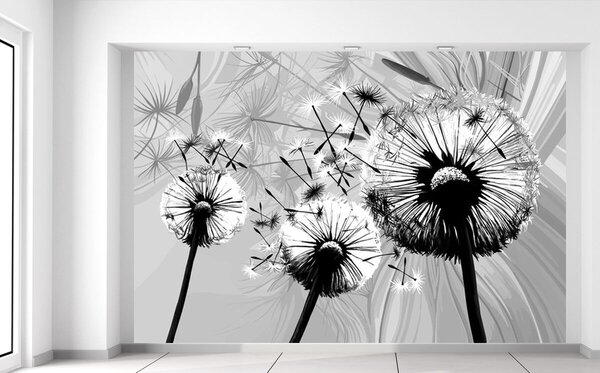 Fototapeta Krásne čiernobiele púpavy Materiál: Samolepiaca, Rozmery: 200 x 135 cm