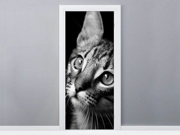 Fototapeta na dvere Pohľad mačky - Visualpanic Materiál: Samolepiaca, Rozmery: 95 x 205 cm