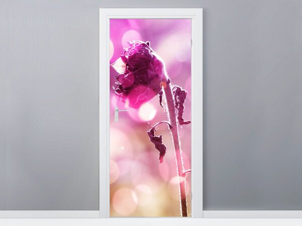 Fototapeta na dvere Zvädnutý kvet Materiál: Samolepiaca, Rozmery: 95 x 205 cm