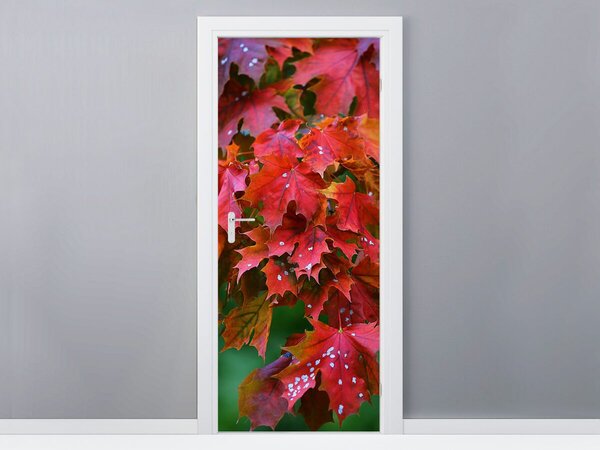 Fototapeta na dvere Jesenné listy Materiál: Samolepiaca, Rozmery: 95 x 205 cm
