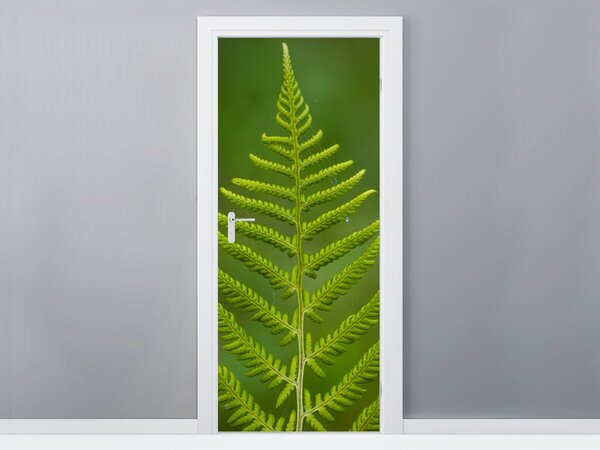 Fototapeta na dvere Zelená papraď Materiál: Samolepiaca, Rozmery: 95 x 205 cm