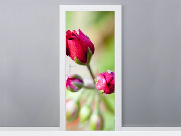 Fototapeta na dvere Púčiky ruže Materiál: Samolepiaca, Rozmery: 95 x 205 cm