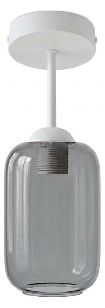 BRILAGI - LED Prisadený luster R GLASS 1xE27/60W/230V pr. 14 cm biela/dymovošedá