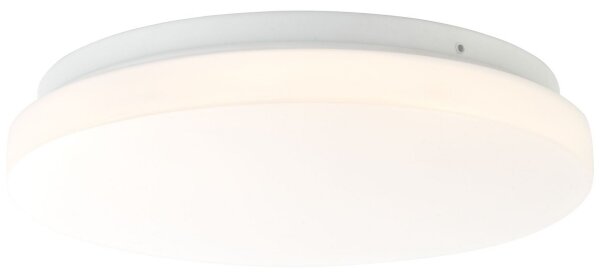 Brilliant - LED Stropné svietidlo FARICA LED/12W/230V pr. 26 cm biela