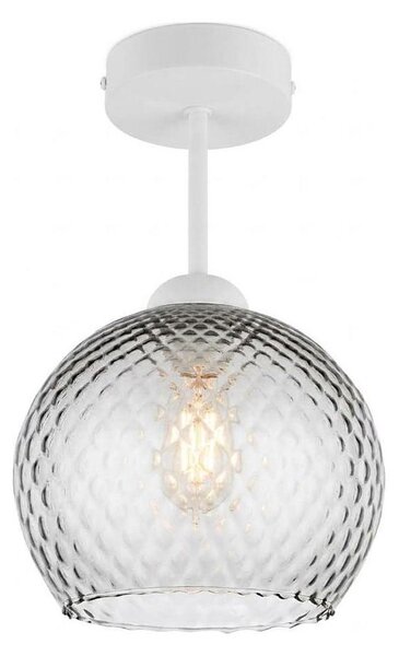 BRILAGI - LED Prisadený luster R GLASS 1xE27/60W/230V pr. 25 cm biela/dymovo-sivá