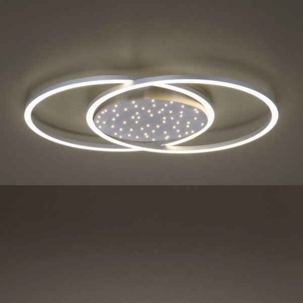 Paul Neuhaus 6025-55 - LED Stmievateľné stropné svietidlo YUKI LED/48W/230V + DO