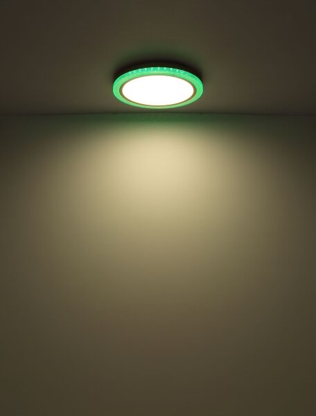 Globo 41372-24 - LED RGBW Stmievateľné stropné svietidlo BOLLY LED/20W/230V + DO
