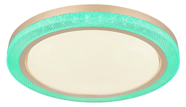 Globo 41372-24 - LED RGBW Stmievateľné stropné svietidlo BOLLY LED/20W/230V + DO