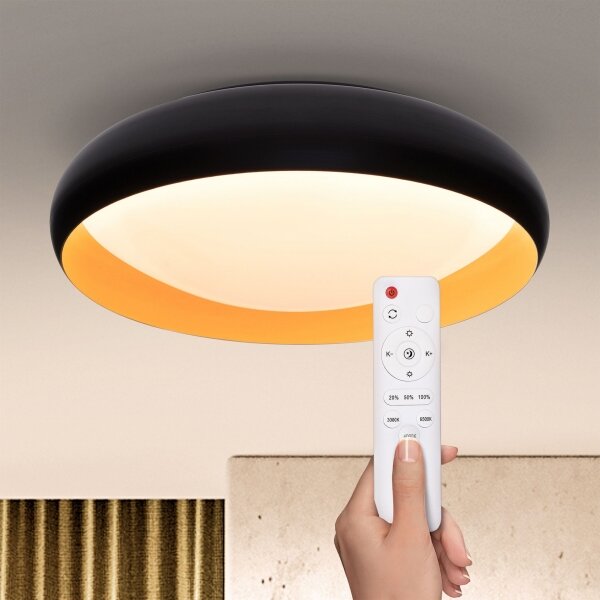 Brilagi - LED Stmievateľné stropné svietidlo LIVIA LED/48W/230V 3000-6500K + DO