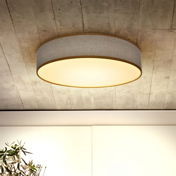 Brilagi - LED Stmievateľné stropné svietidlo CARMEN LED/48W/230V 3000-6500K + DO