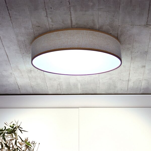 Brilagi - LED Stmievateľné stropné svietidlo CARMEN LED/48W/230V 3000-6500K + DO