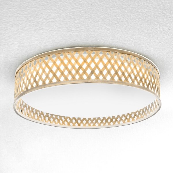 Brilagi - LED Stmievateľné stropné svietidlo CAMILA LED/48W/230V 3000-6500K + DO
