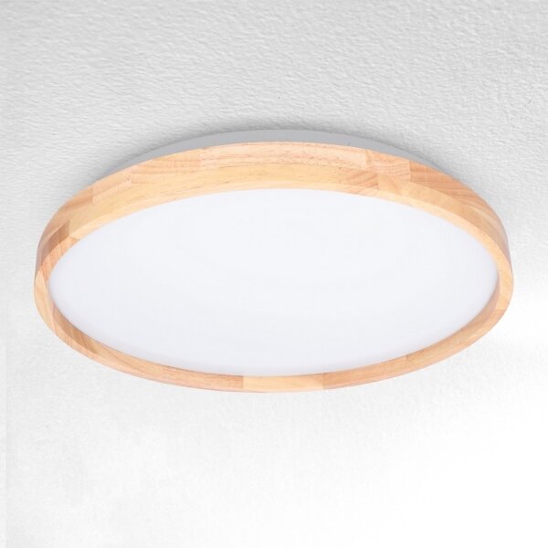 Brilagi - LED stlmiteľné stropné svietidlo ALSON LED/48W/230V 3000-6500K + DO