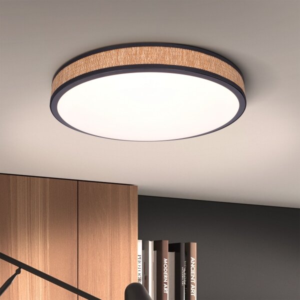 Brilagi - LED Stmievateľné stropné svietidlo ROSA LED/48W/230V 3000-6500K + DO