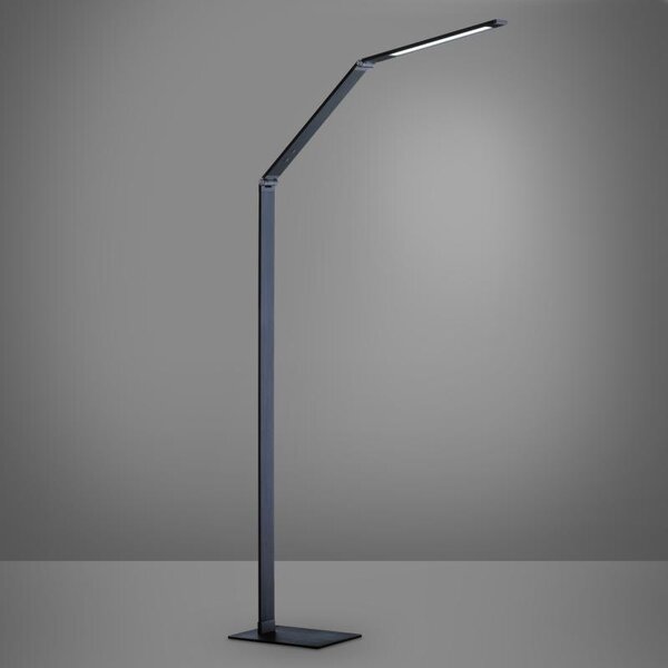 STOJACIA LED LAMPA, 36/17/133 cm Fischer & Honsel - Online Only bytové doplnky, Online Only