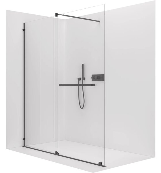 CERANO - Sprchová zástena Walk-in Medin Ľ/P - 8 mm - čierna matná, transparentné sklo - 120x195 cm - dvojdielna posuvná