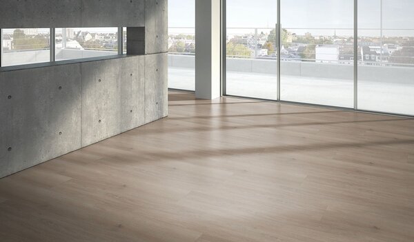 PARADOR Trendtime 6 Dub Skyline perlovo sivý prírodne matná štruktúra 1601103 - 2.67 m2