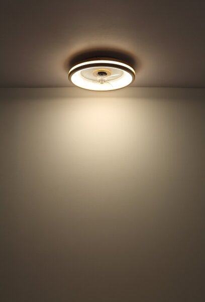 Globo 03650 LED ventilátor s osvetlením GATIAN | 30W integrovaný LED zdroj | 2250lm | 2700-6500K