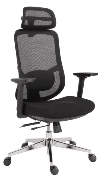 Kancelárska ergonomická stolička Neoseat ALLY — čierna, nosnosť 150 kg