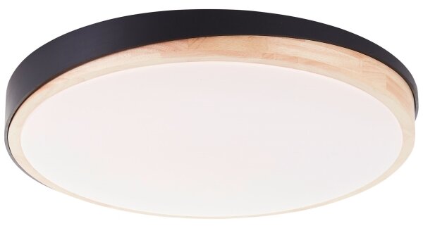 Brilliant - LED St. stropné svietidlo BAARLO LED/36W/230V pr. 50 cm čierna + DO