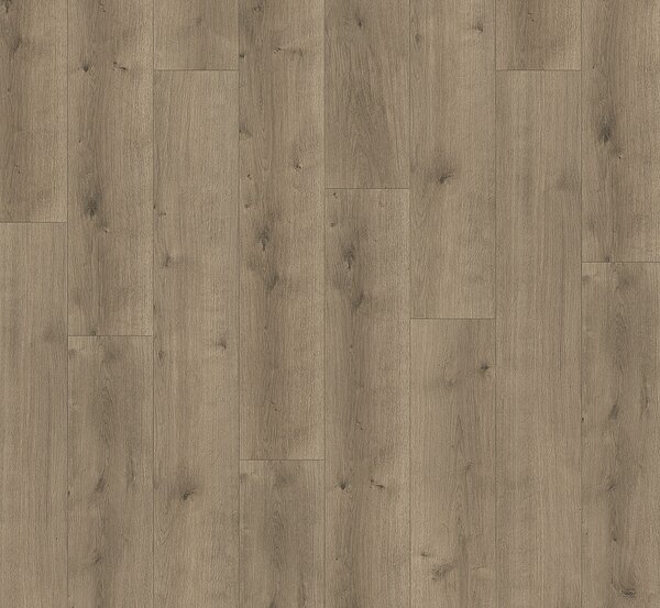 PARADOR Modular one hydron Dub pure perlovo šedý štruktúra dreva 1746935 - 2.02 m2