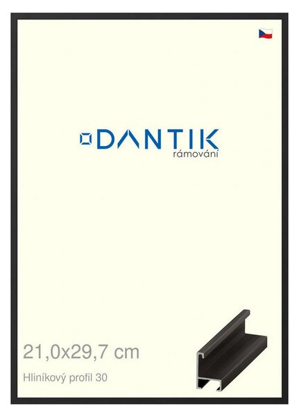 DANTIK rám na obraz 21x29,7 | ALU Černá matná (Sklo Čiré)