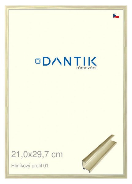 DANTIK rám na obraz 21x29,7 | ALU zlatá lesklá alternativa (Sklo Čiré)