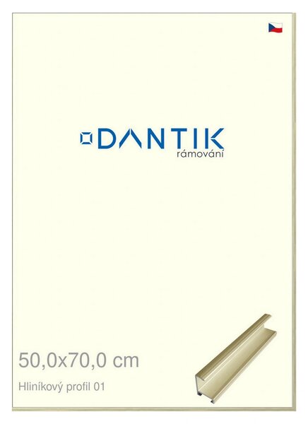 DANTIK rám na obraz 50x70 | ALU zlatá lesklá alternativa (Plexi Čiré)
