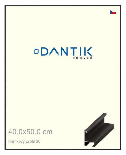 DANTIK rám na obraz 40x50 | ALU Černá matná (Plexi Čiré)
